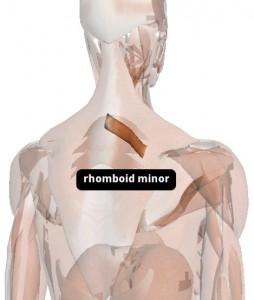 rhomboid-minor.jpg